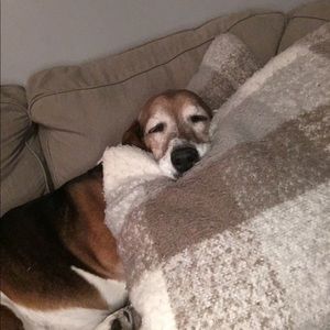 Meet your Posher, Lindsay